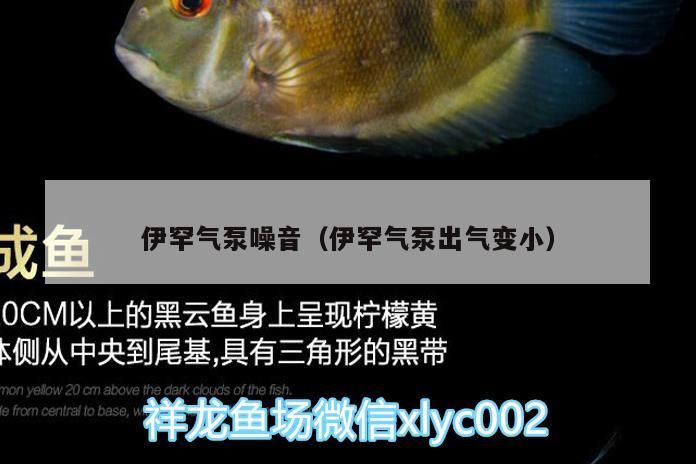 伊罕氣泵噪音（伊罕氣泵出氣變小）