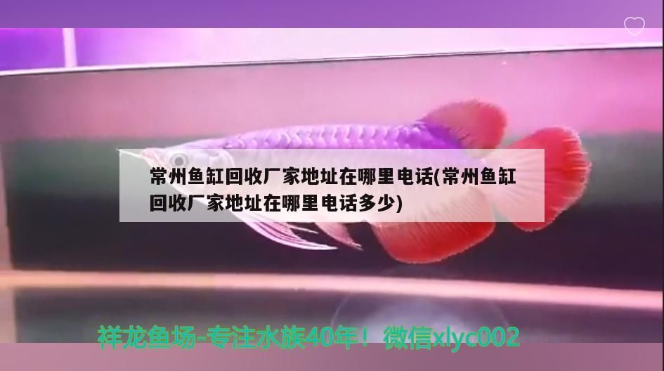 常州魚缸回收廠家地址在哪里電話(常州魚缸回收廠家地址在哪里電話多少)