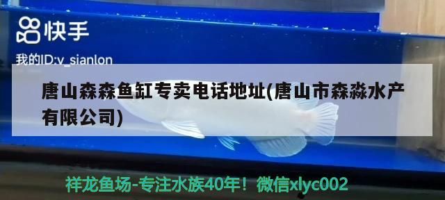 唐山森森魚(yú)缸專(zhuān)賣(mài)電話(huà)地址(唐山市森淼水產(chǎn)有限公司)