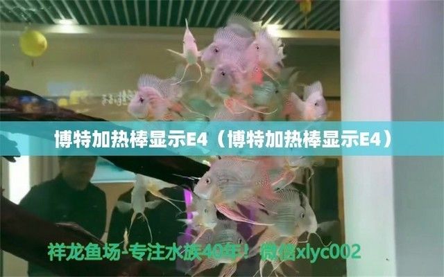 魚缸加熱棒顯示e4老是閃：魚缸加熱棒顯示e4故障解析