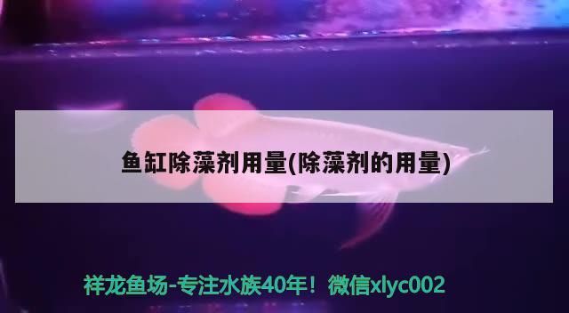 魚缸除藻劑用量(除藻劑的用量) 魚缸除藻劑用量(除藻劑的用量) 金龍魚百科