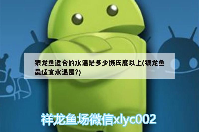 銀龍魚適合的水溫是多少攝氏度以上(銀龍魚最適宜水溫是?)