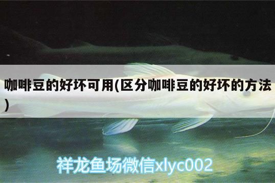 咖啡豆的好壞可用(區(qū)分咖啡豆的好壞的方法)