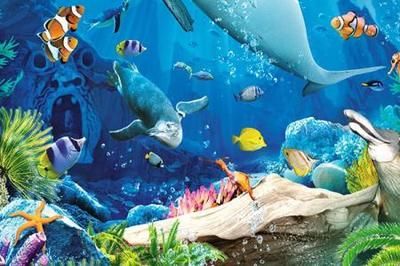 水族館作文100字：水族館親子活動安排,水族館親子活動安排介紹 水族館作文100字：水族館親子活動安排,水族館親子活動安排介紹 水族館百科（水族館加盟） 第4張