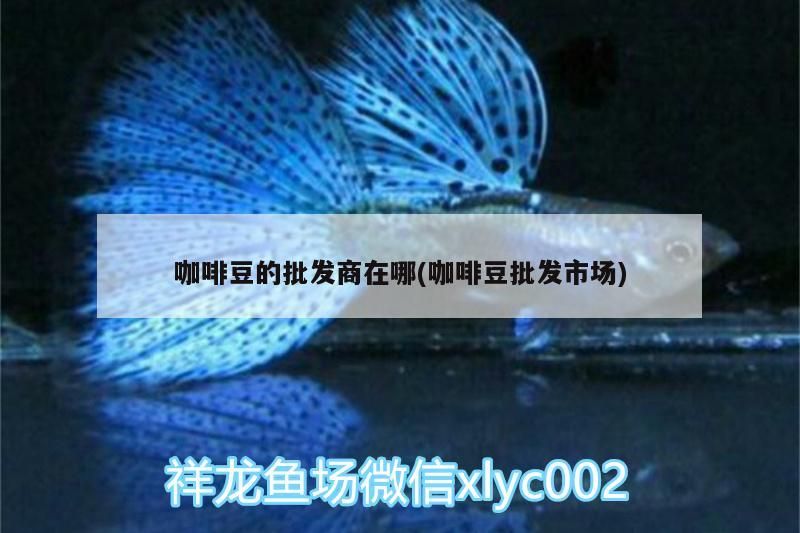 咖啡豆的批發(fā)商在哪(咖啡豆批發(fā)市場(chǎng)) 咖啡豆的批發(fā)商在哪(咖啡豆批發(fā)市場(chǎng)) 馬來西亞咖啡