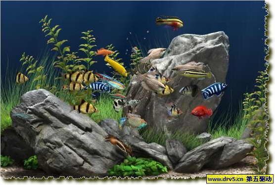 水族館主題動態屏保：水族館動態屏保的優勢 水族館主題動態屏保：水族館動態屏保的優勢 水族館百科（水族館加盟） 第4張