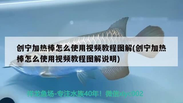 創(chuàng)寧加熱棒怎么使用視頻教程圖解(創(chuàng)寧加熱棒怎么使用視頻教程圖解說(shuō)明)