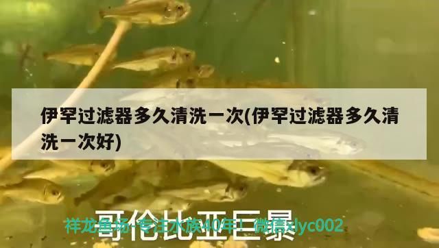 伊罕過濾器多久清洗一次(伊罕過濾器多久清洗一次好) 伊罕過濾器多久清洗一次(伊罕過濾器多久清洗一次好) 伊罕水族