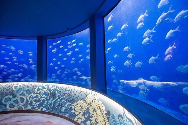水族館里有什么東西（水族館是一個展示多種海洋生物的場所）