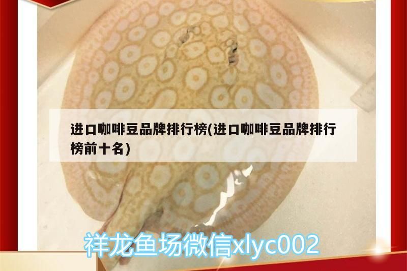 進口咖啡豆品牌排行榜(進口咖啡豆品牌排行榜前十名)