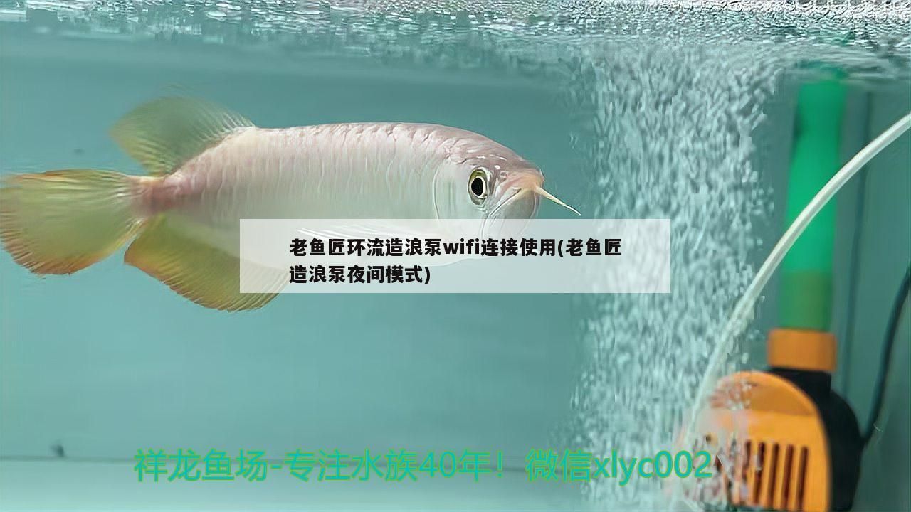 老魚匠環(huán)流造浪泵wifi連接使用(老魚匠造浪泵夜間模式) 老魚匠環(huán)流造浪泵wifi連接使用(老魚匠造浪泵夜間模式) 老魚匠