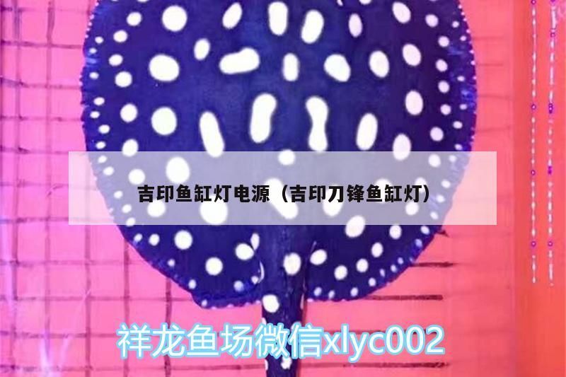 吉印魚缸燈電源（吉印刀鋒魚缸燈） 吉印魚缸燈電源（吉印刀鋒魚缸燈） 吉印水族 第1張