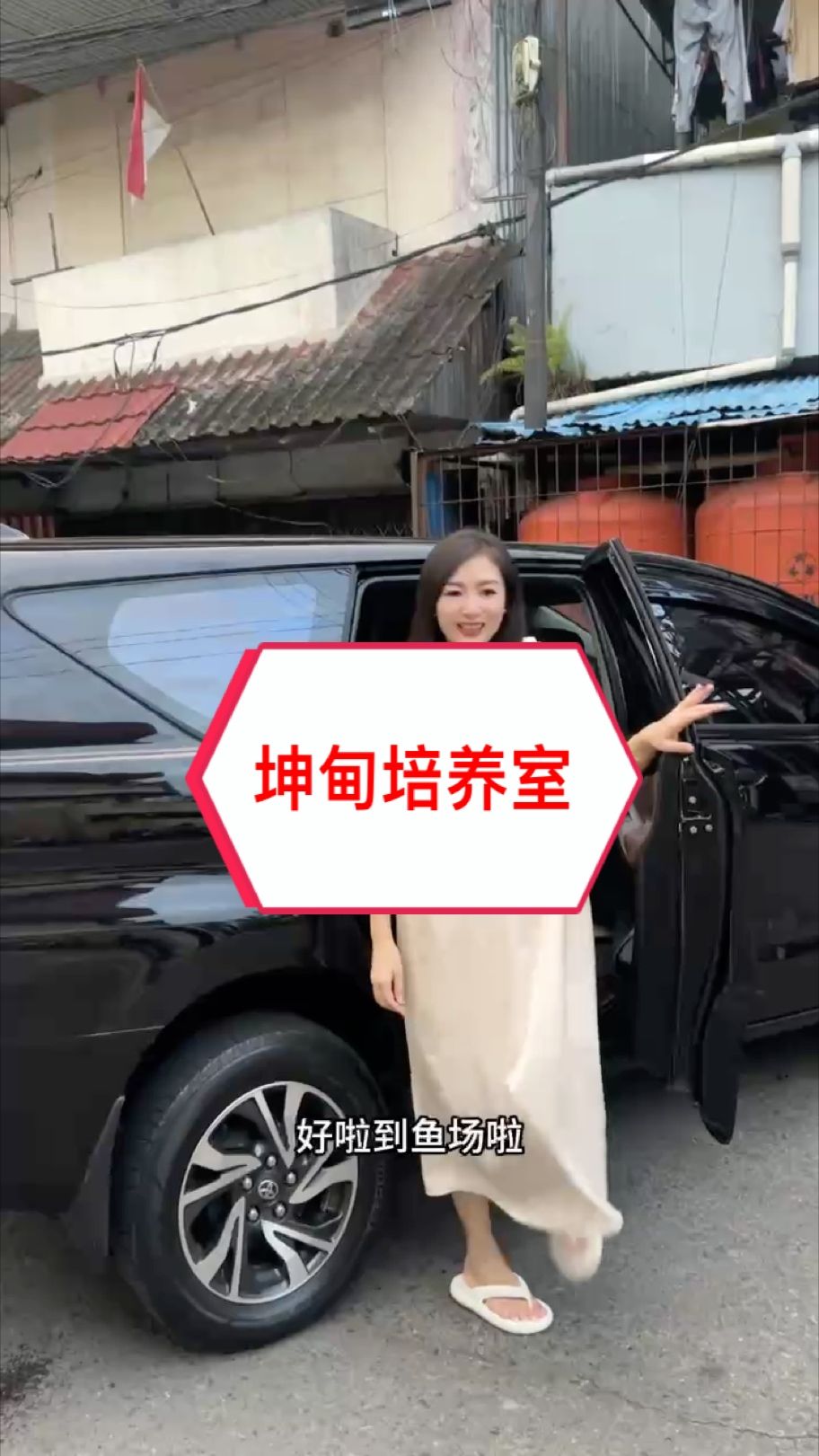 萬隆天王：印尼????坤甸培養(yǎng)室?? #萬隆天王紅龍 #龍魚 #紅龍