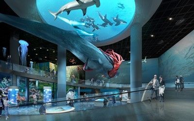 中國最大的海洋水族館：中國擁有世界上最大的海洋水族館 中國最大的海洋水族館：中國擁有世界上最大的海洋水族館 水族館百科（水族館加盟） 第3張