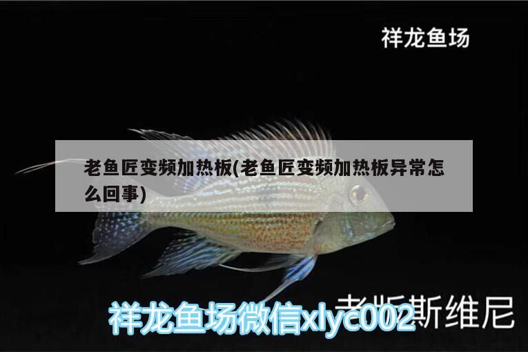 老魚匠變頻加熱板(老魚匠變頻加熱板異常怎么回事)