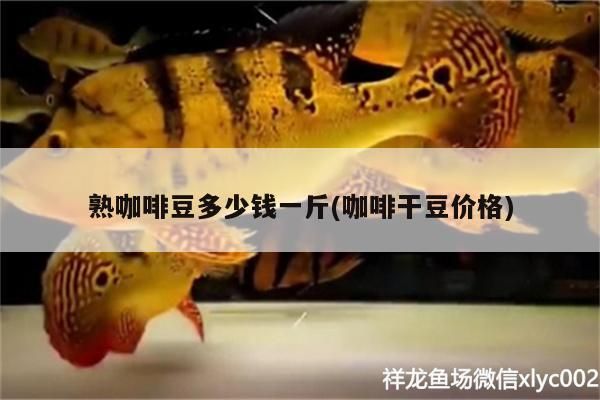 熟咖啡豆多少錢一斤(咖啡干豆價格)