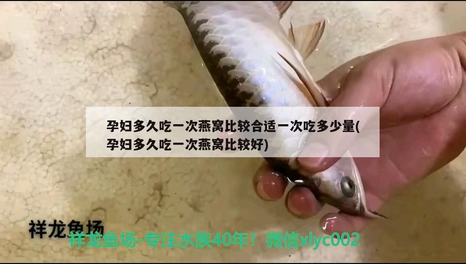 陽江水族批發市場地址電話（陽江，市區有什么好玩的地方） 陽江水族批發市場地址電話（陽江，市區有什么好玩的地方） 元寶鳳凰魚百科 第2張