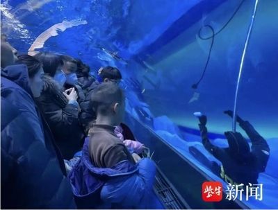 水族館有什么工作：動(dòng)物醫(yī)生的疾病治療方法介紹水族館工作人員的疾病治療方法介紹