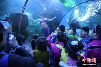 水族館有什么工作：動(dòng)物醫(yī)生的疾病治療方法介紹水族館工作人員的疾病治療方法介紹