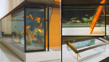 水族館室內(nèi)設(shè)計：水族館室內(nèi)設(shè)計——美觀與實用性并存