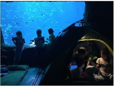水族館需要預(yù)約嗎：上海海洋水族館和徐州水族館預(yù)約情況