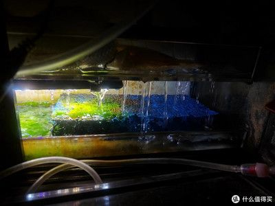 博特魚缸過濾怎么樣好用嗎：博特魚缸的過濾系統好用嗎？ 博特魚缸過濾怎么樣好用嗎：博特魚缸的過濾系統好用嗎？ 博特水族 第3張