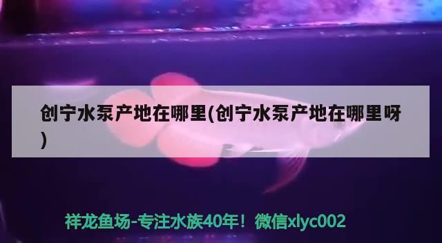 創(chuàng)寧水泵產(chǎn)地在哪里(創(chuàng)寧水泵產(chǎn)地在哪里呀)