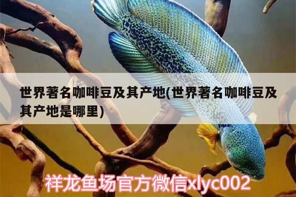 世界著名咖啡豆及其產地(世界著名咖啡豆及其產地是哪里)