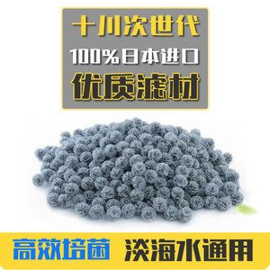 魟魚白點基因：魟魚白點是由基因決定的嗎？ 魟魚白點基因：魟魚白點是由基因決定的嗎？ 魟魚百科 第3張