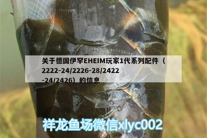 我的虎魚真菌感染了要怎么處理 關于德國伊罕EHEIM玩家1代系列配件(2222-24/2226-28/2422-24/2426)的信息 伊罕水族 關于德國伊罕EHEIM玩家1代系列配件(2222-24/2226-28/2422-24/2426)的信息 關于德國伊罕EHEIM玩家1代系列配件(2222-24/2226-28/2422-24/2426)的信息 伊罕水族