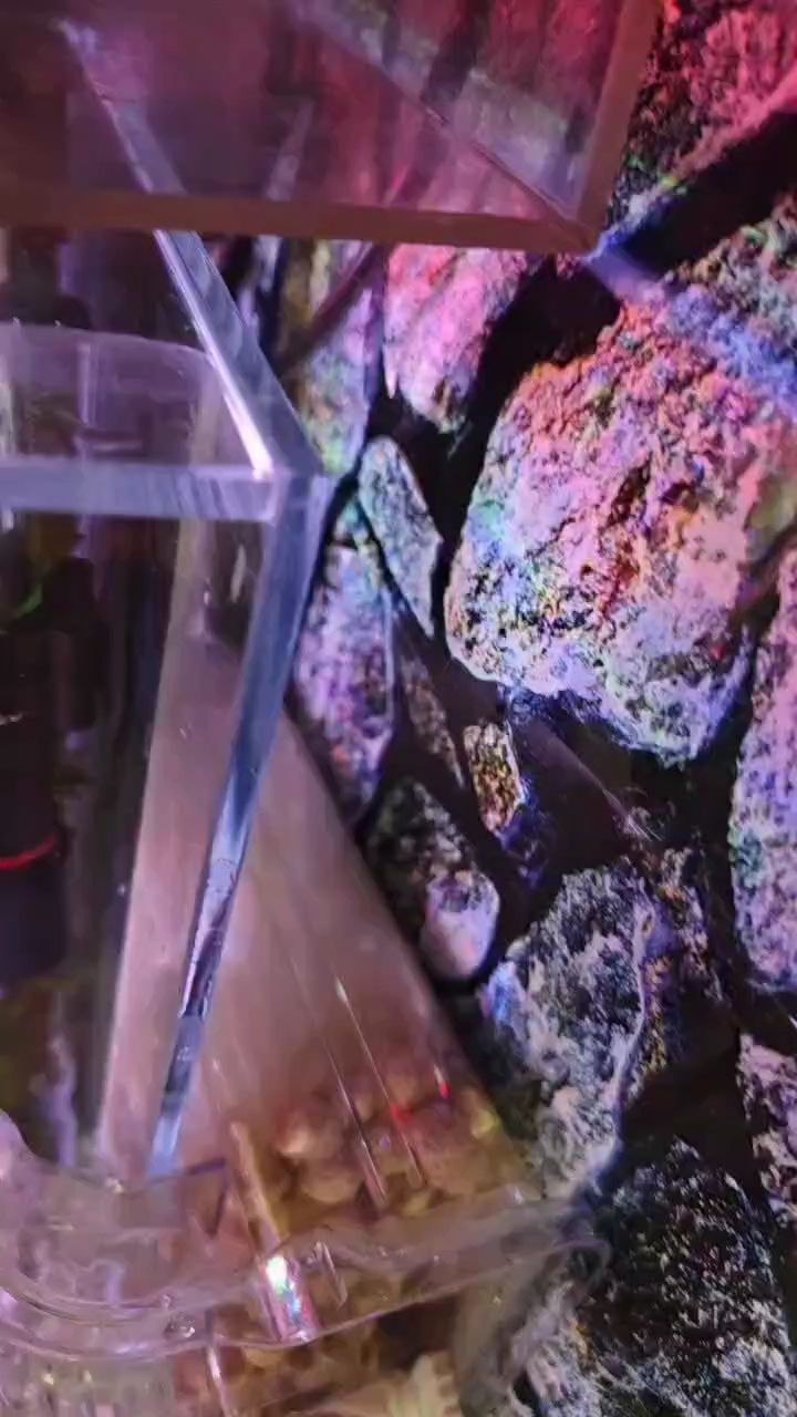 挺好