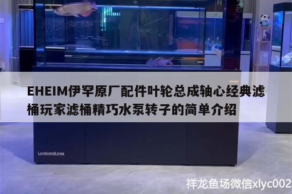 EHEIM伊罕原廠配件葉輪總成軸心經典濾桶玩家濾桶精巧水泵轉子的簡單介紹 EHEIM伊罕原廠配件葉輪總成軸心經典濾桶玩家濾桶精巧水泵轉子的簡單介紹 伊罕水族