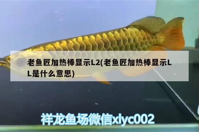 老魚匠加熱棒顯示L2(老魚匠加熱棒顯示LL是什么意思)