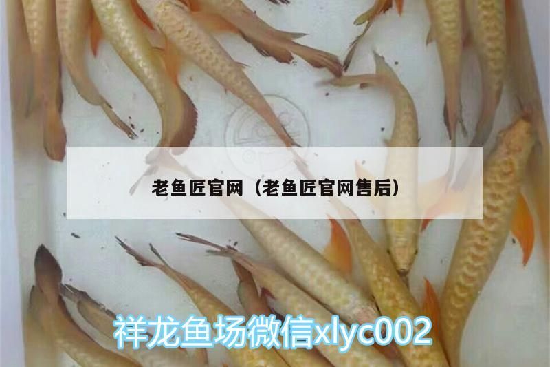 老魚匠官網（老魚匠官網售后）