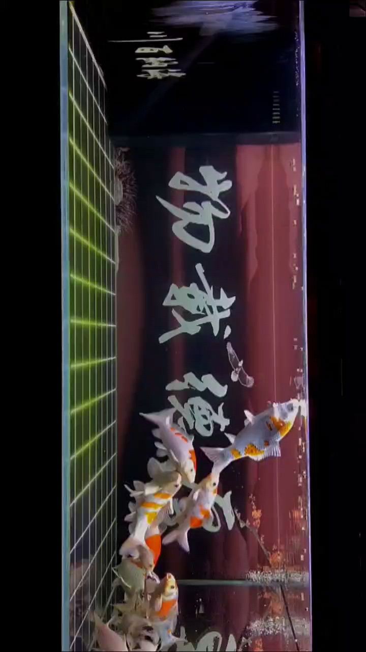 二月拍攝