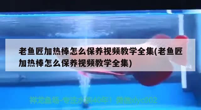 老魚匠加熱棒怎么保養視頻教學全集(老魚匠加熱棒怎么保養視頻教學全集)