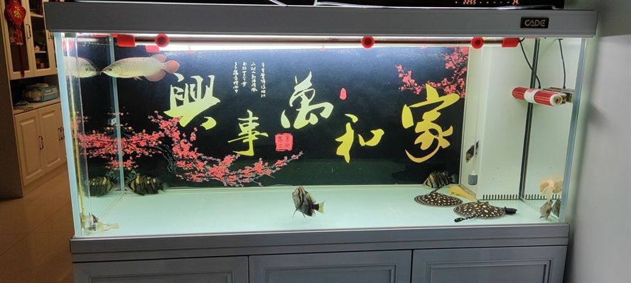 天津二手海鮮魚缸轉讓信息最新（天津二手海鮮魚缸轉讓信息最新價格）