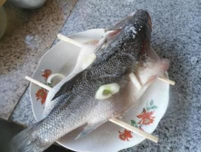 龍魚的主食是什么vs祥龍魚場:龍魚養(yǎng)殖技術要點祥龍魚場口碑評價龍魚養(yǎng)殖技術要點 vs祥龍魚場 第1張 龍魚的主食是什么vs祥龍魚場:龍魚養(yǎng)殖技術要點祥龍魚場口碑評價龍魚養(yǎng)殖技術要點 龍魚的主食是什么vs祥龍魚場:龍魚養(yǎng)殖技術要點祥龍魚場口碑評價龍魚養(yǎng)殖技術要點 vs祥龍魚場 第1張