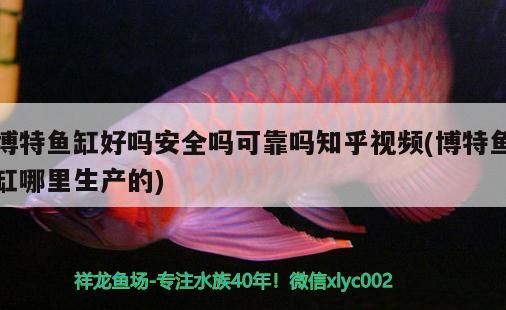 博特魚缸好嗎安全嗎可靠嗎知乎視頻(博特魚缸哪里生產的)