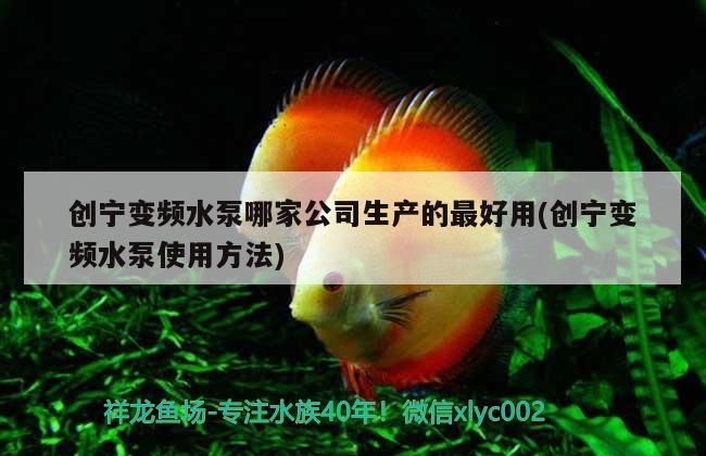 創(chuàng)寧變頻水泵哪家公司生產(chǎn)的最好用(創(chuàng)寧變頻水泵使用方法)