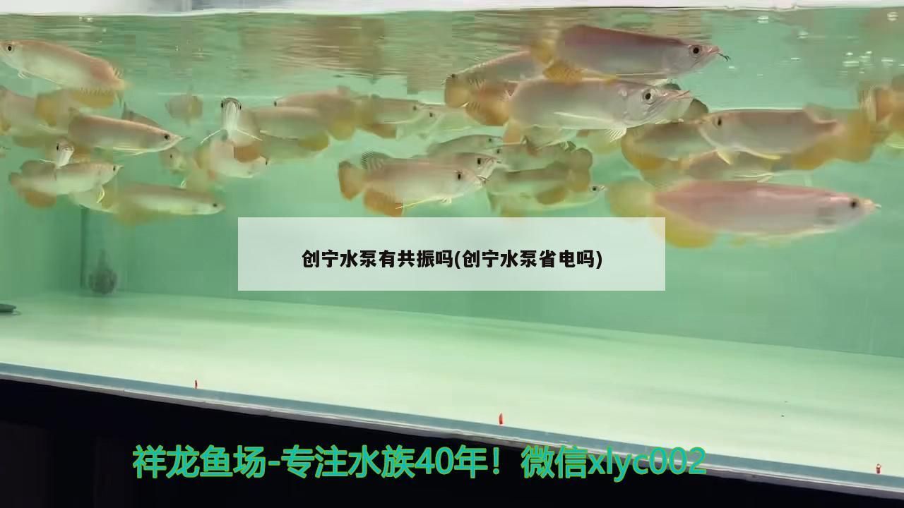 創(chuàng)寧水泵有共振嗎(創(chuàng)寧水泵省電嗎)
