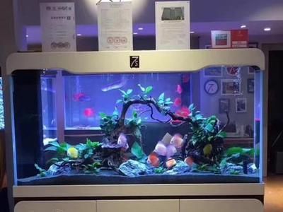 7s魚缸質量怎么樣：7s魚缸的日常維護注意事項，7s魚缸的質量如何 7s魚缸質量怎么樣：7s魚缸的日常維護注意事項，7s魚缸的質量如何 魚缸百科 第1張
