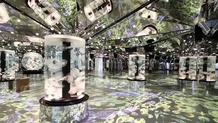 水族館前景如何（水族館行業發展前景分析）