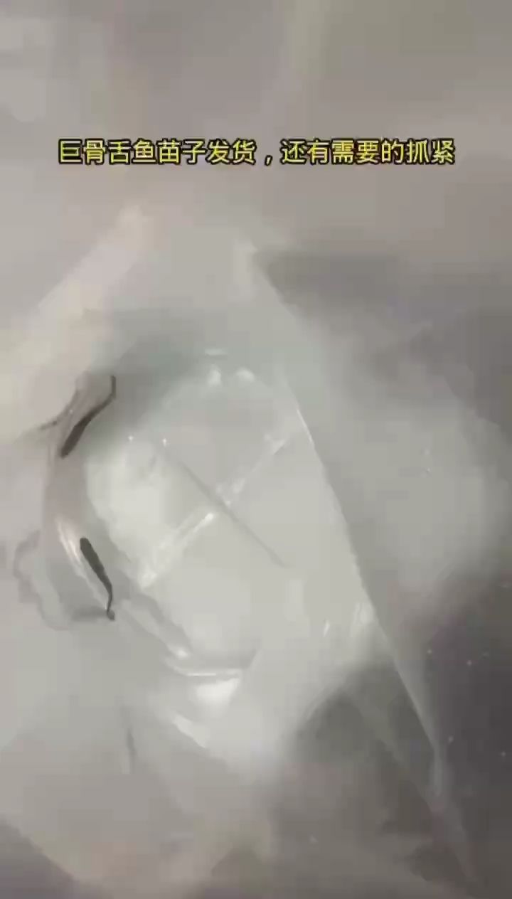 博特3000流量水泵每一檔的流量一樣嗎(博特水泵怎么調(diào)流量大小)