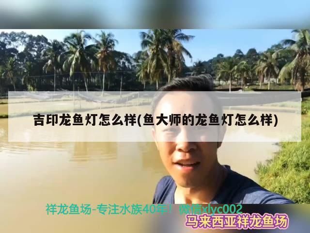 吉印龍魚(yú)燈怎么樣(魚(yú)大師的龍魚(yú)燈怎么樣)