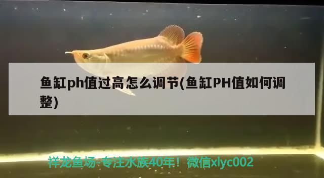 魚缸ph值過高怎么調節(jié)(魚缸PH值如何調整)