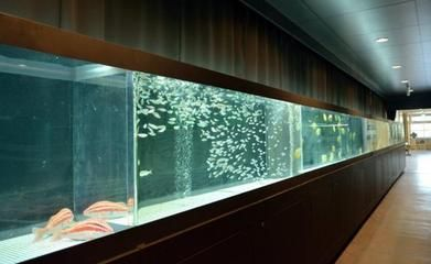 水族館賺錢嗎（水族館市場調研方法[需手動填充]水族館市場調研方法創業好處）