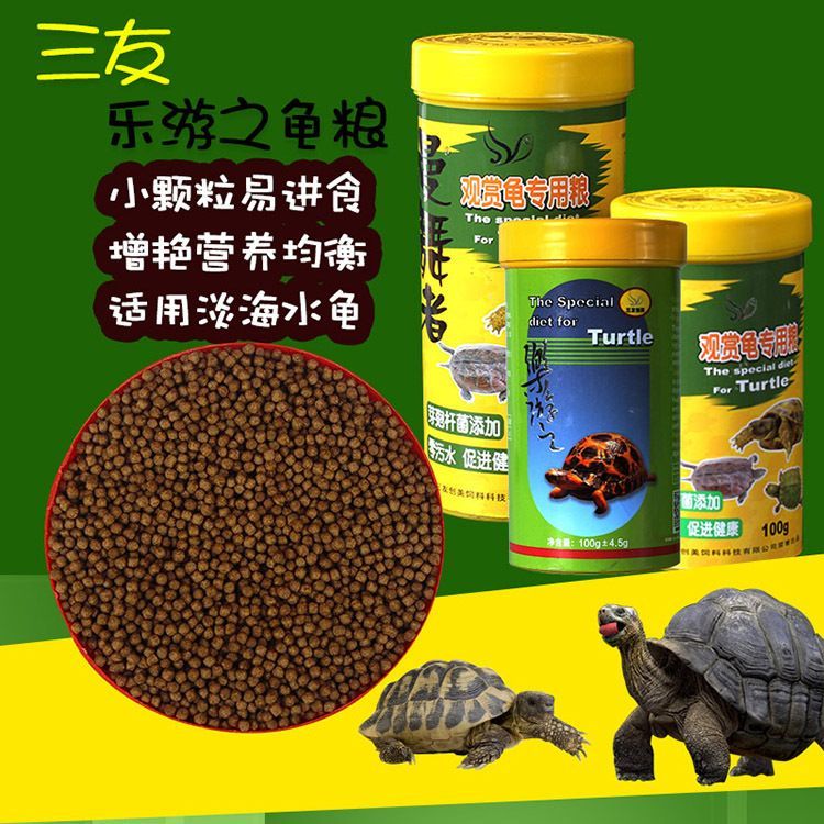 豬鼻龜最好的飼料：豬鼻龜的飼料選擇