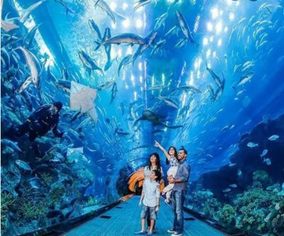 開個水族館賣觀賞魚掙錢嗎現在：開一個水族館賣觀賞魚是否掙錢