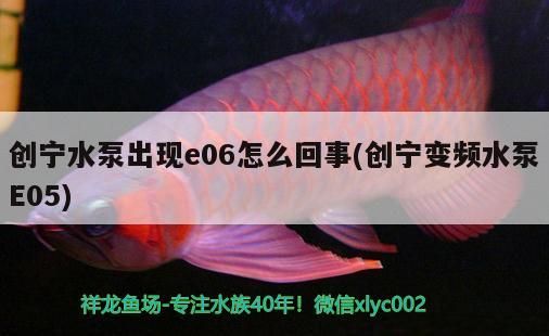 創寧水泵出現e06怎么回事(創寧變頻水泵E05)